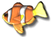 Captcha image 9523