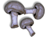 Captcha image 2346